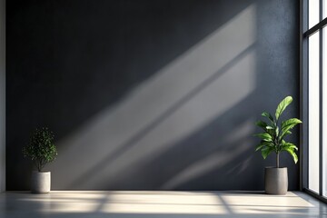 Dark wall, plants, sunlight, empty room, interior design
