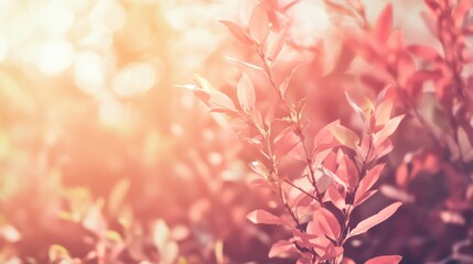 A serene Chinese oriental Garden with Blossom, showcasing a dreamy pink fantasy landscape adorned with butterflies, captures the essence of spring's gentleness and beauty, a blend of nature's elements