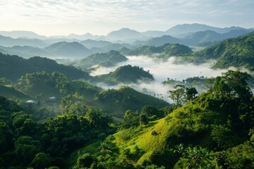 Fototapeta premium Misty Mountain Valley Landscape at Sunrise
