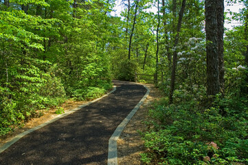 Tallulah Gorge Footpath, Georgia, USA
