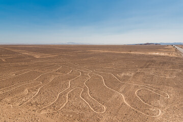 Naklejka premium image of the hummingbird nazca line in peru