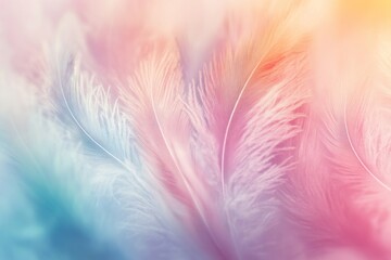 Obraz premium Pastel feathers, soft focus, background blur, design texture