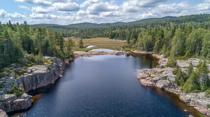 Fototapeta premium Aerial View of a Serene Lake Surrounded by Lush Green Forest