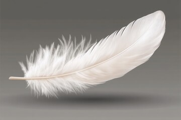 Obraz premium White feather floats, gray background, soft, design element
