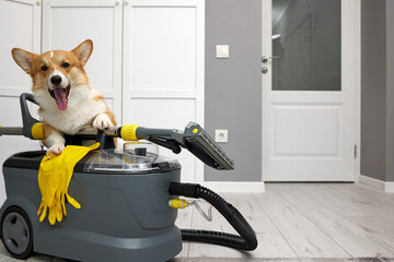 A fluffy corgi dog is depicted relaxing alongside a modern high-quality vacuum cleaner in a bright room, portraying the theme of business cleaning with a pet-friendly touch.