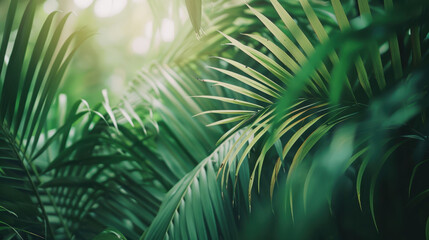 Naklejka premium Lush green palm leaves create tropical atmosphere, showcasing nature beauty and tranquility