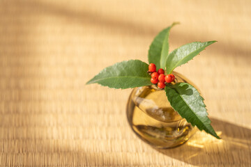 畳の上に一輪挿し千両