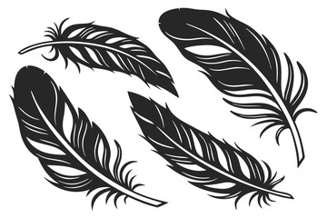 Obraz premium set of Feather silhouette vector illustration