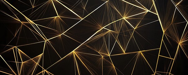 Fototapeta premium An abstract geometric background featuring intricate golden lines on a deep black backdrop. This visually striking design adds a modern touch to your creative projects.