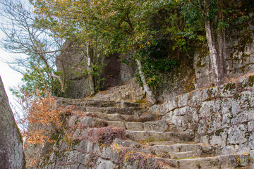 岐阜県中津川市　冬の苗木城