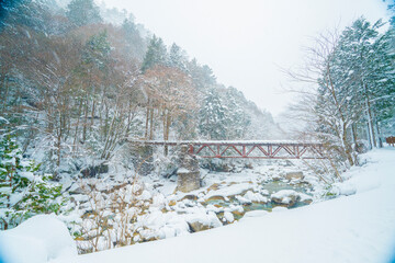 長野県南木曽町　降雪した冬の阿寺渓谷の風景