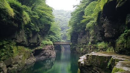 Serene River Gorge Bridge Nature Scene