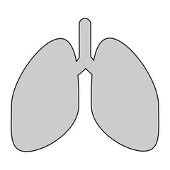 lung illustration vector medicine medical health