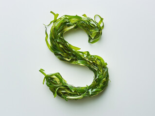 a letter S made of a seaweed salad, top view. Minimalistic design on a plain white background