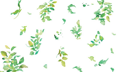 水彩画。水彩タッチのユーカリのベクターイラスト。水彩で描いた葉っぱの装飾フレーム。Watercolor painting. Vector illustration of eucalyptus with watercolor touch. Decorative frame with leaves painted in watercolor.