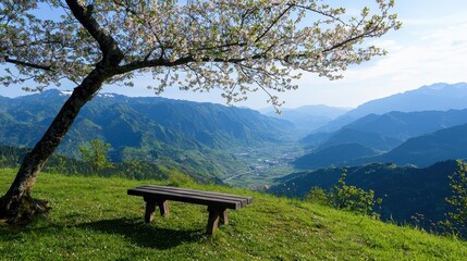 Bench under a tree on a grassy hill with blue sky and clouds in the background