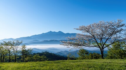 Fototapeta premium A solitary tree in the foreground of a majestic mountain landscape during daylight