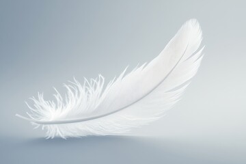 Obraz premium Single white feather floats, soft background, serenity, design