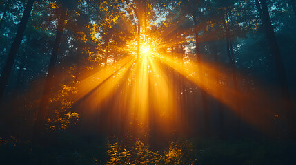 Ethereal sunlight streaming through a dense forest canopy