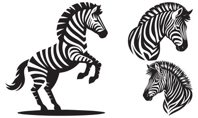 zebra vector illustration
