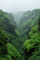 Obraz premium Lush green valley, shrouded in mist, descends to unknown depths. Possible travel photo