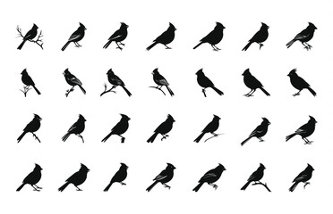 Northern Cardinal Silhouette Clipart Bundle, Cardinal Bird Vector black Silhouette Set
