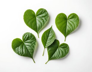 Heart-Shaped Leaves on White Background