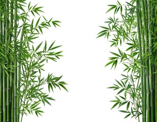 Obraz premium Lush Green Bamboo Border