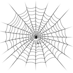 Obraz premium Spiderweb with Spider Silhouette