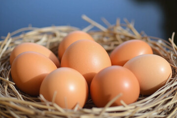 Six brown eggs in straw nest on dry grass with blue sky bg