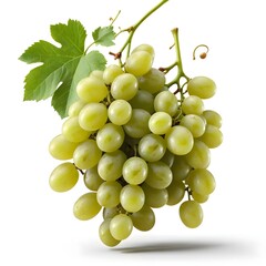 Bunch of Green Grapes with Leaf