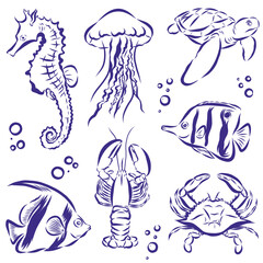 Elements vector of Sea life drawing isolated on white background. © wonder