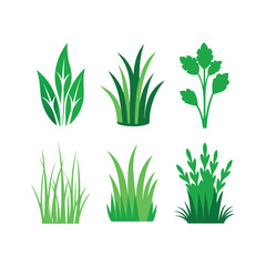 green grass isolated on white. doodles of Colorful grass icons set vector illustration