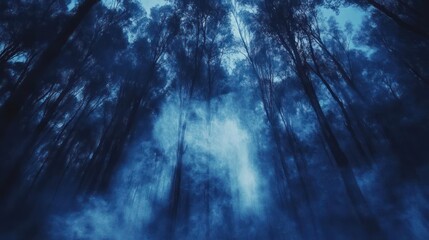 Mystical Blue Forest with Tall Trees and Fog