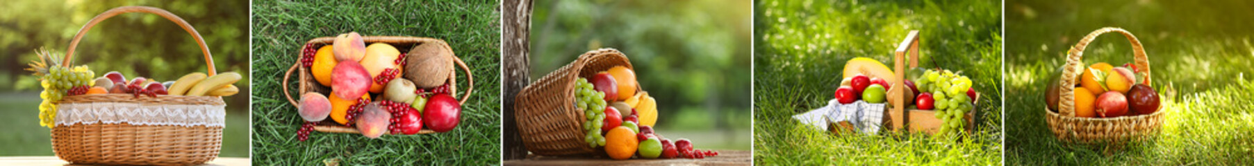 Collage of different wicker baskets with fresh fruits in garden