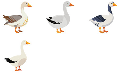 Obraz premium Emden goose various design vector art set on white background
