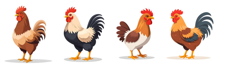 Colorful Rooster Illustration