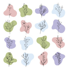 plant and leaves with boho abstract shape