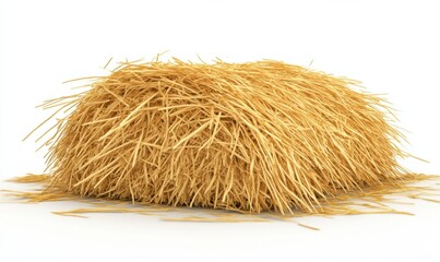 A large, textured hay bale resting on a plain background, symbolizing agriculture and rural life