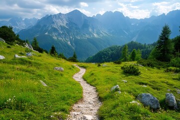 Hiking trail winding through lush green meadow in Julian Alps, Slovenia