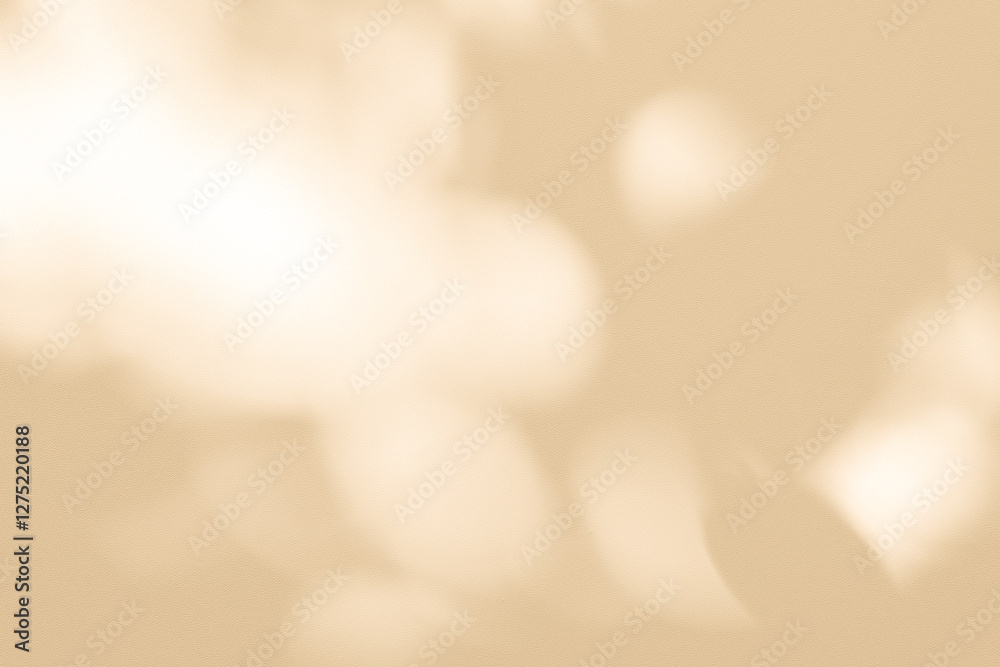 Poster wall interior background, studio and backdrops show products. with leaf shadow from window color bei