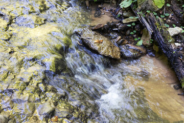 A shallow riverbed with an exposed rocky bottom, a small flow of water, in the spring period of the year