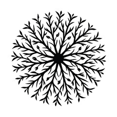black and white snowflake