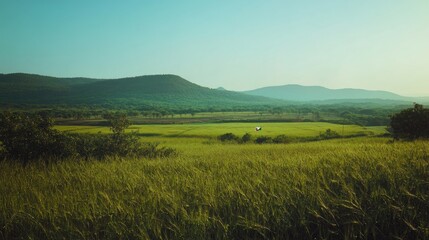 Fototapeta premium Mountain landscape with grass