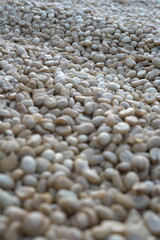 Obraz premium Coffee beans are dried in the sun.