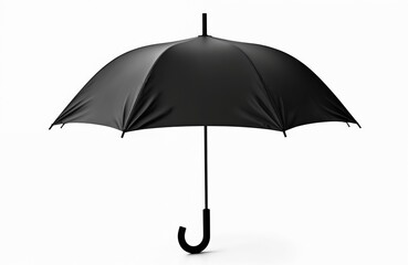 Classic black open rain umbrella isolated on white background. Water-resistant canopy and curved handle. Protection from weather elements during autumn. Accessory for rainy day.