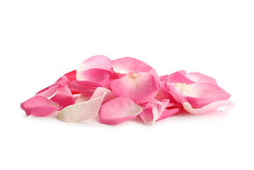 Beautiful pink rose petals on white background
