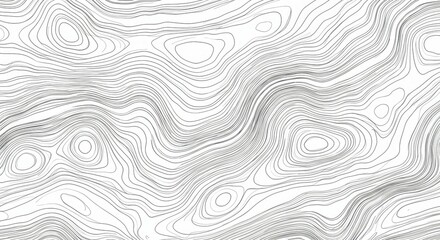 Topographic map, contour lines, wavy patterns, abstract landscape, black and white illustration, detailed elevation map, cartographic design, fluid curves, geographic relief, monochrome terrain visual