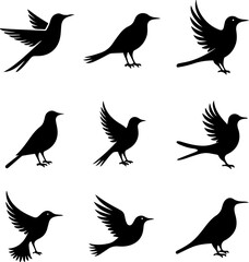 set of silhouettes of birds