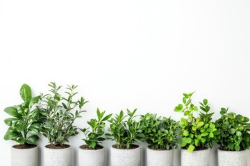 A minimalist concept of green plants in cement pots, lined up against a white backdrop, highlighting natureâ€™s beauty and sustainable living.